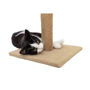 Beige Cat Scratching Post